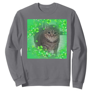 Funny Cat Meme St Patricks Day Sweatshirt Lucky Shamrock Goofy Ahh Cat TS10 Charcoal Print Your Wear