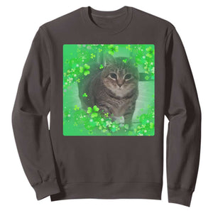 Funny Cat Meme St Patricks Day Sweatshirt Lucky Shamrock Goofy Ahh Cat TS10 Dark Chocolate Print Your Wear