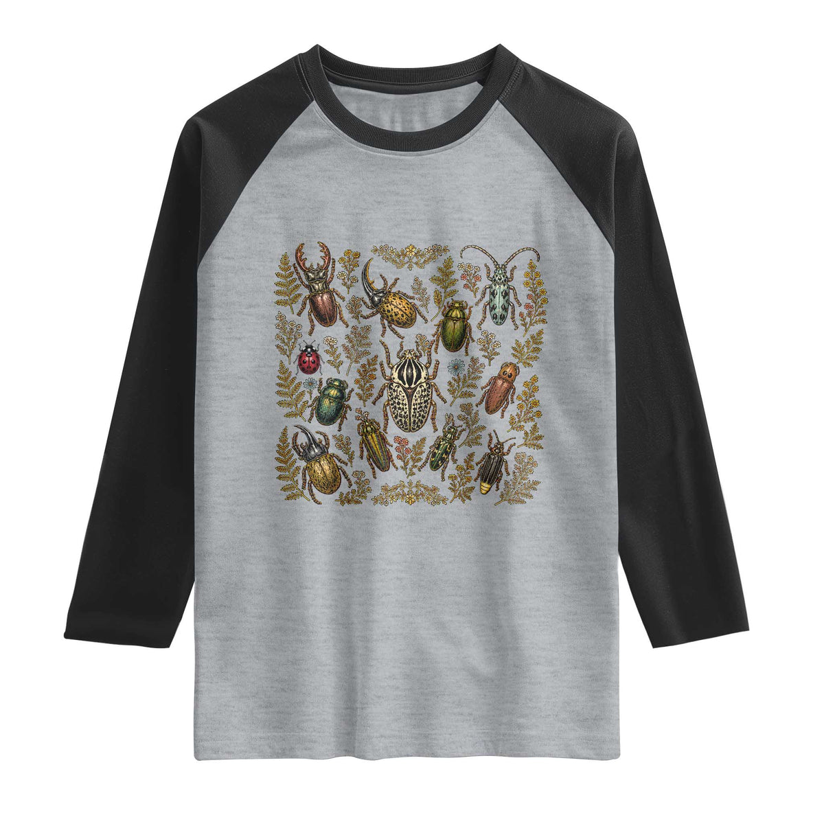 Insect Bug Collection Collector Entomologist Entomology Raglan Shirt