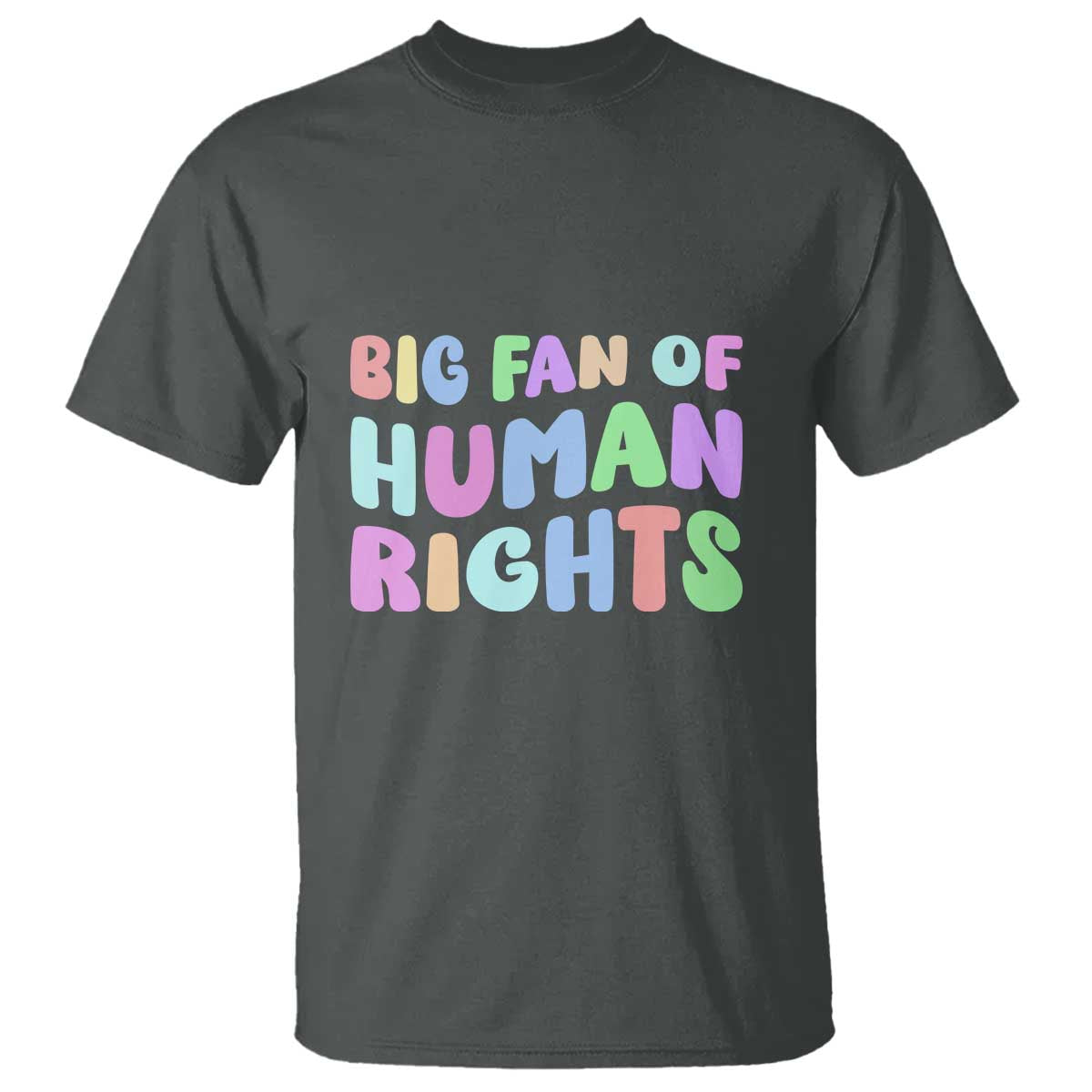 Big Fan Of Human Rights T Shirt Social Justice Equality Activist TS10 Dark Heather Print Your Wear