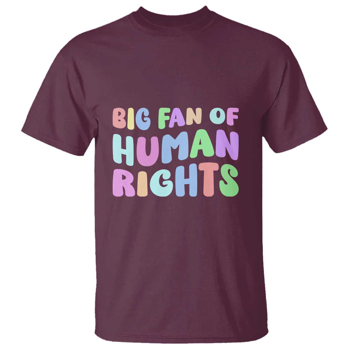 Big Fan Of Human Rights T Shirt Social Justice Equality Activist TS10 Maroon Print Your Wear