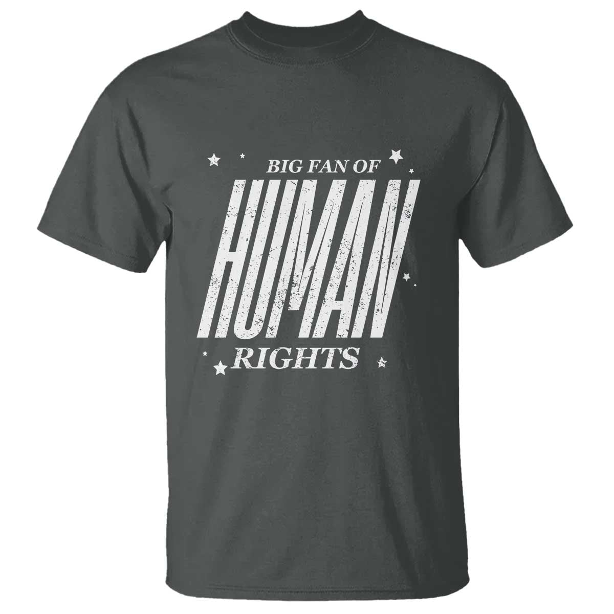 Big Fan Of Human Rights T Shirt Equality Activist TS10 Dark Heather Print Your Wear