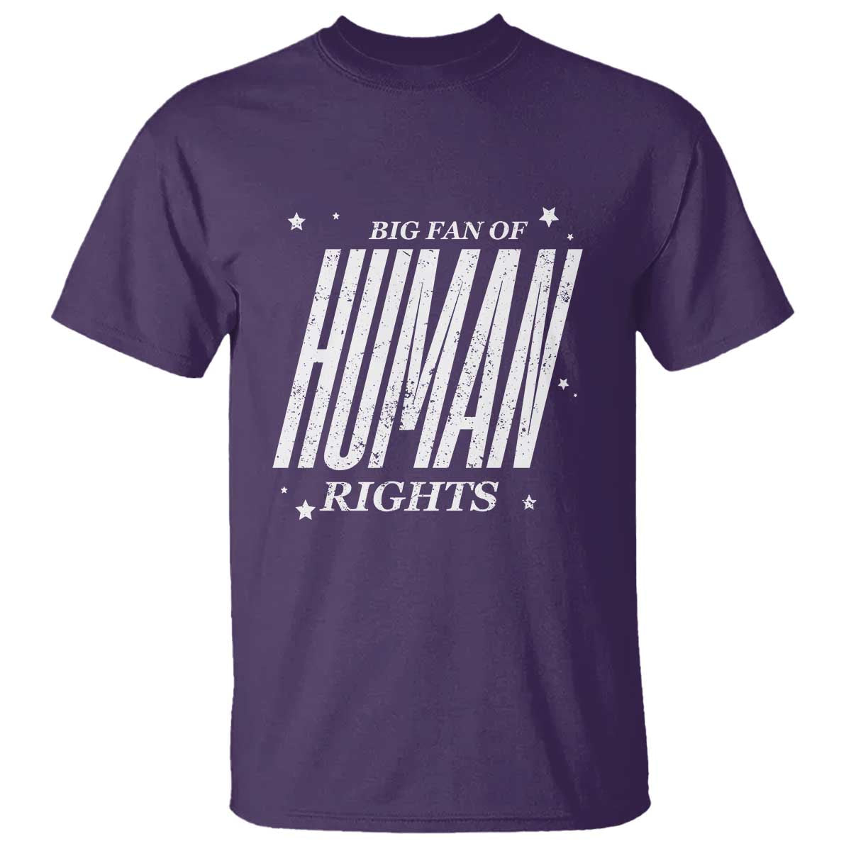 Big Fan Of Human Rights T Shirt Equality Activist TS10 Purple Print Your Wear