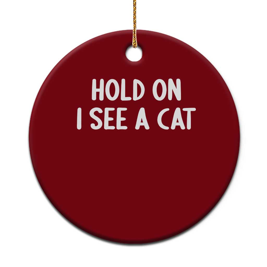 Hold On I See A Cat Ceramic Ornament Funny Pet Parent Humor Cat Person TS10 1pc Red Print Your Wear