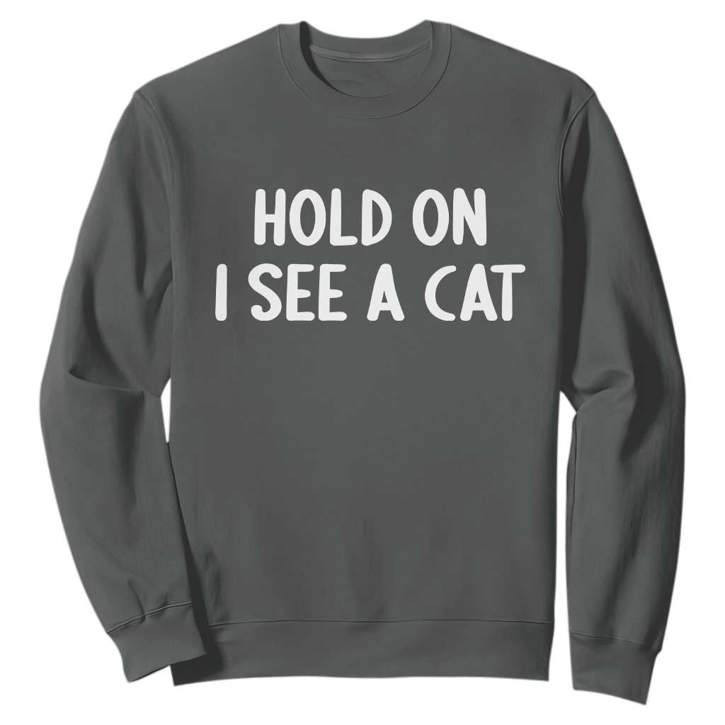 Hold On I See A Cat Sweatshirt Funny Pet Parent Humor Cat Person TS10 Dark Heather Print Your Wear