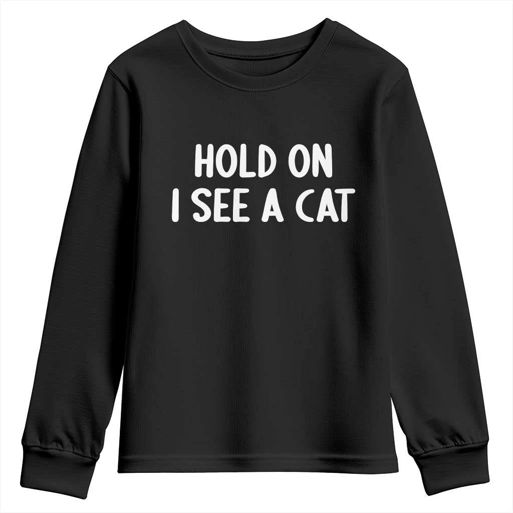 Hold On I See A Cat Youth Sweatshirt Funny Pet Parent Humor Cat Person TS10 Black Print Your Wear