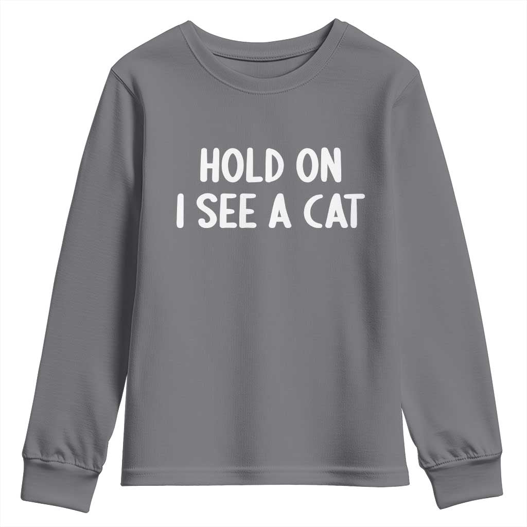 Hold On I See A Cat Youth Sweatshirt Funny Pet Parent Humor Cat Person TS10 Charcoal Print Your Wear