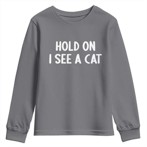 Hold On I See A Cat Youth Sweatshirt Funny Pet Parent Humor Cat Person TS10 Charcoal Print Your Wear