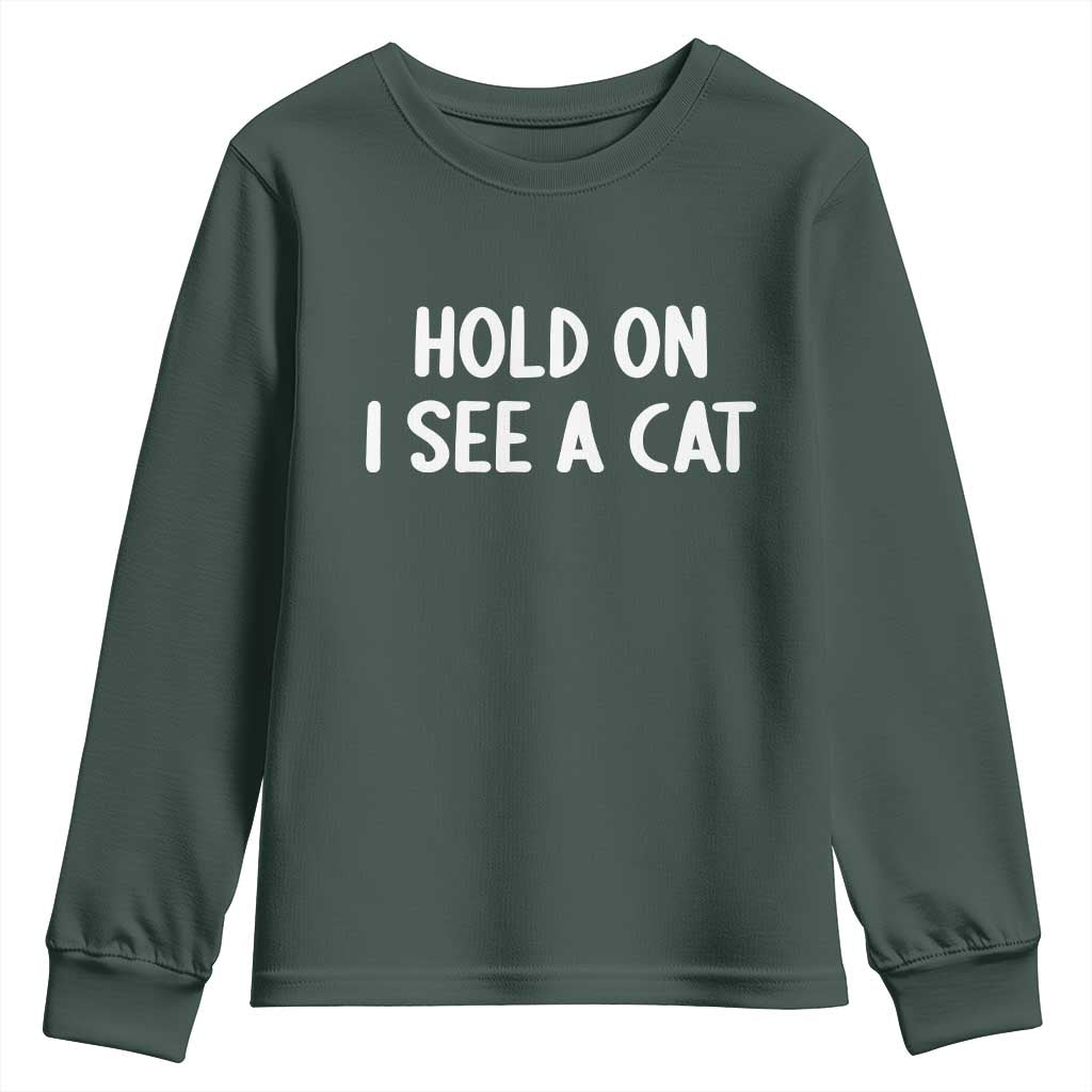 Hold On I See A Cat Youth Sweatshirt Funny Pet Parent Humor Cat Person TS10 Dark Forest Green Print Your Wear