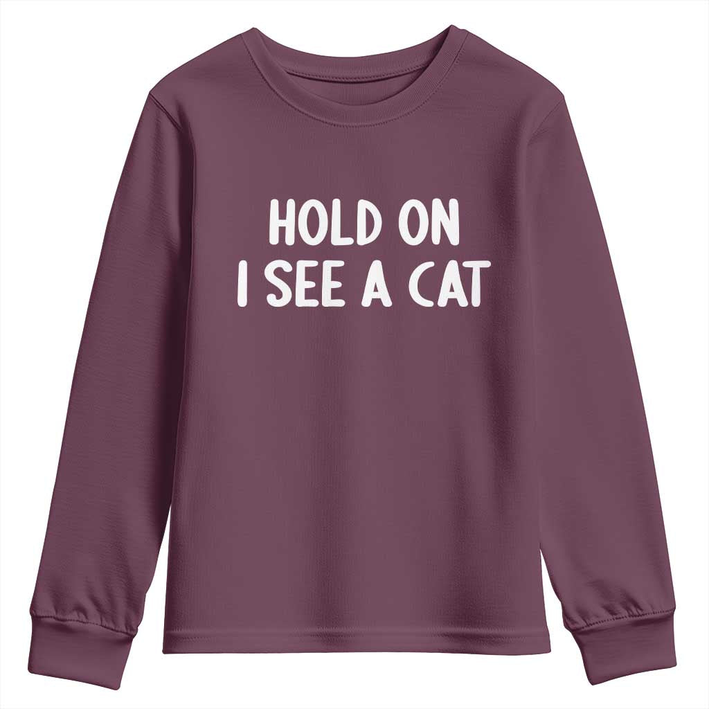 Hold On I See A Cat Youth Sweatshirt Funny Pet Parent Humor Cat Person TS10 Maroon Print Your Wear
