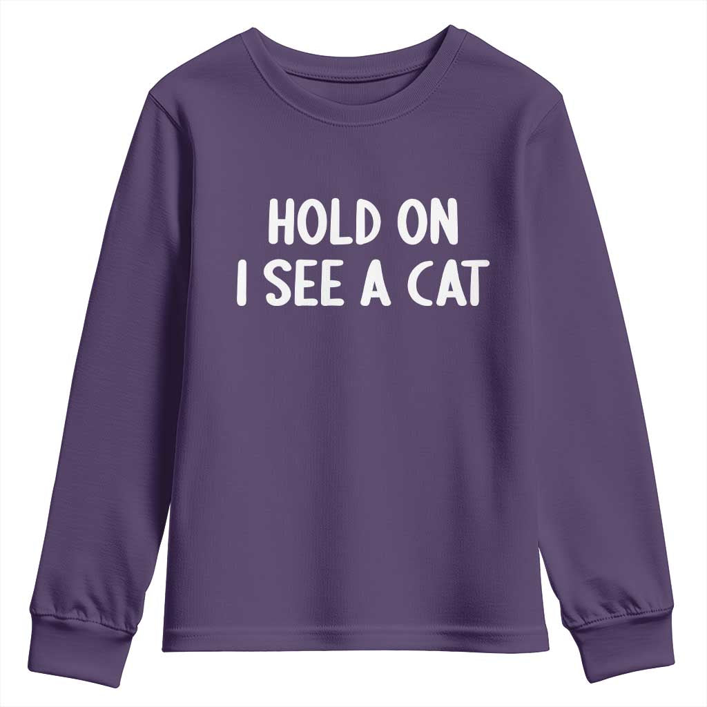 Hold On I See A Cat Youth Sweatshirt Funny Pet Parent Humor Cat Person TS10 Purple Print Your Wear