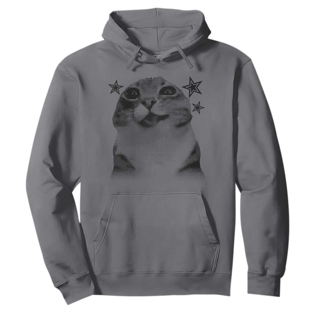 Funny Y2k Cat Meme Hoodie Vintage Retro Silly Cats Cats lover Gift TS10 Charcoal Print Your Wear