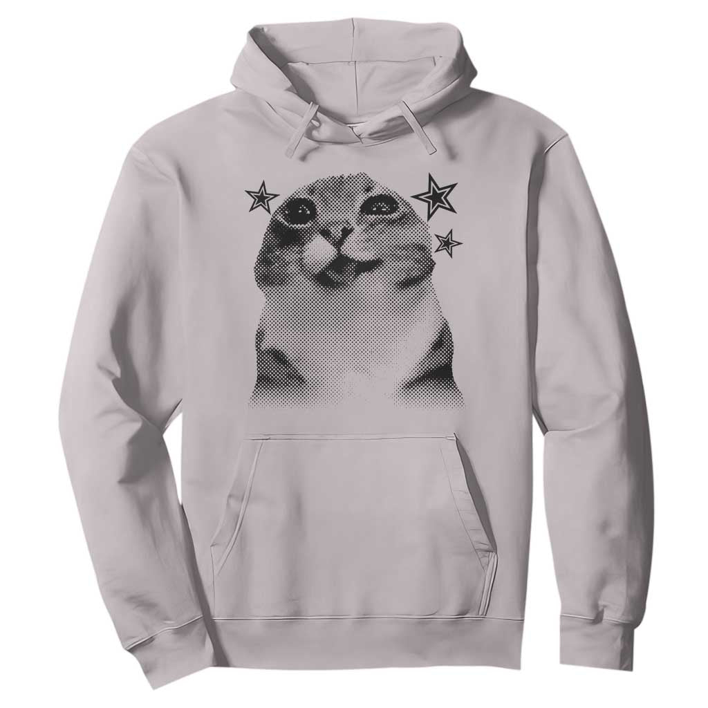 Funny Y2k Cat Meme Hoodie Vintage Retro Silly Cats Cats lover Gift TS10 Ice Gray Print Your Wear
