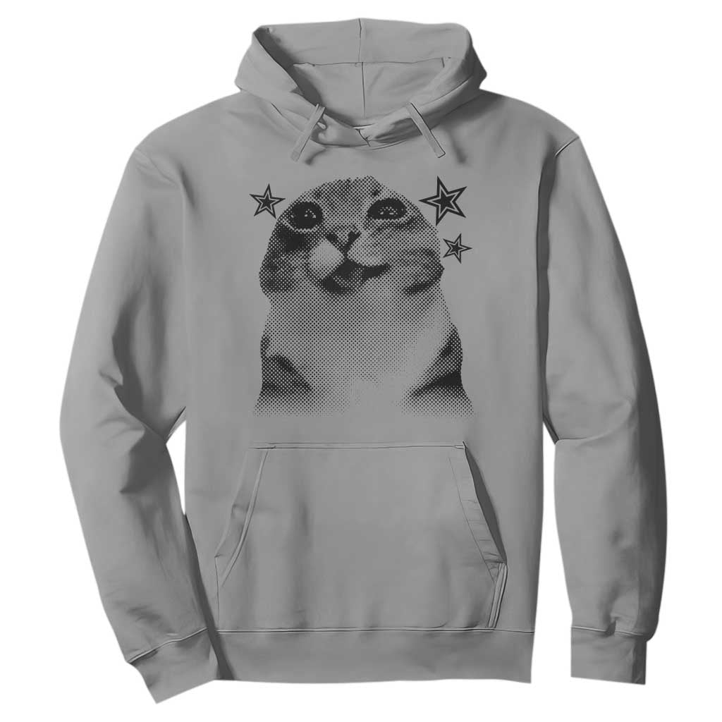 Funny Y2k Cat Meme Hoodie Vintage Retro Silly Cats Cats lover Gift TS10 Sport Gray Print Your Wear