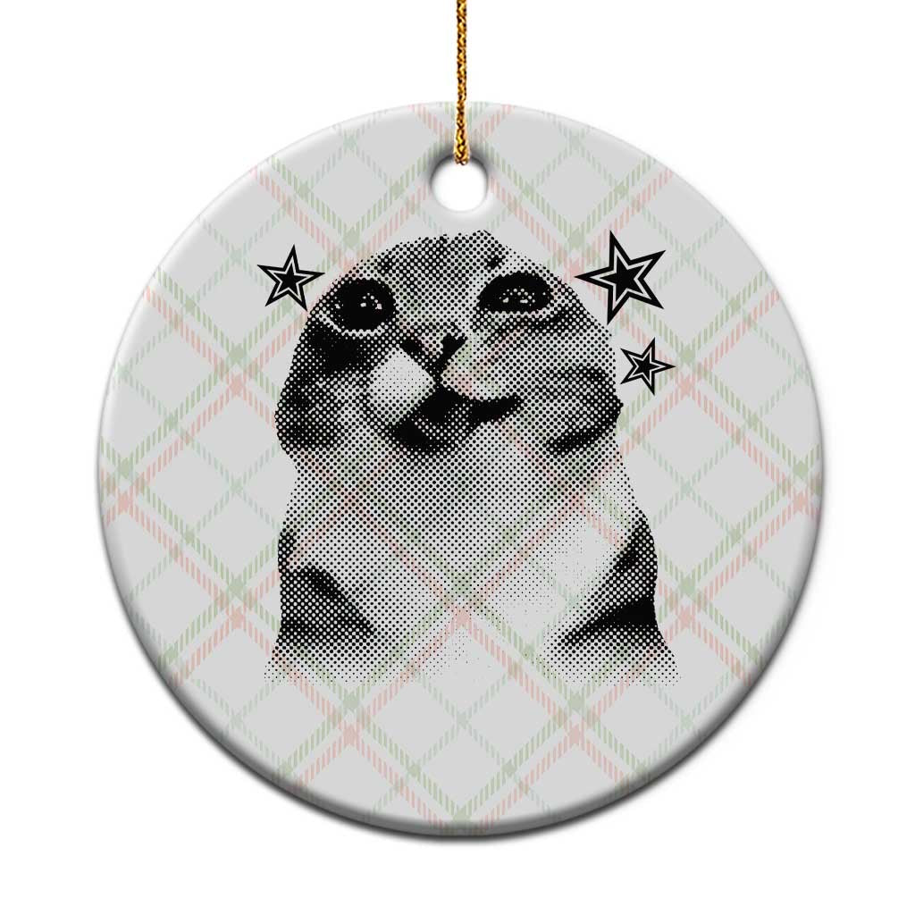 Funny Y2k Cat Meme Ceramic Ornament Vintage Retro Silly Cats Cats lover Gift TS10 1pc Christmas Plaid Print Your Wear