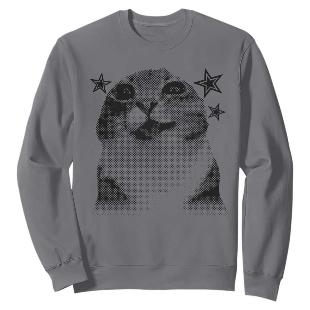 Funny Y2k Cat Meme Sweatshirt Vintage Retro Silly Cats Cats lover Gift TS10 Charcoal Print Your Wear
