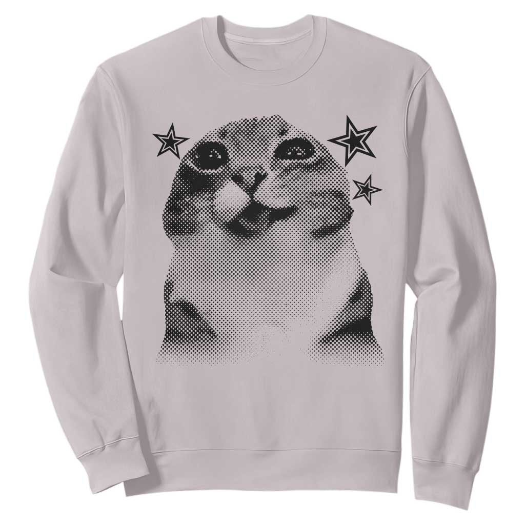 Funny Y2k Cat Meme Sweatshirt Vintage Retro Silly Cats Cats lover Gift TS10 Ice Gray Print Your Wear