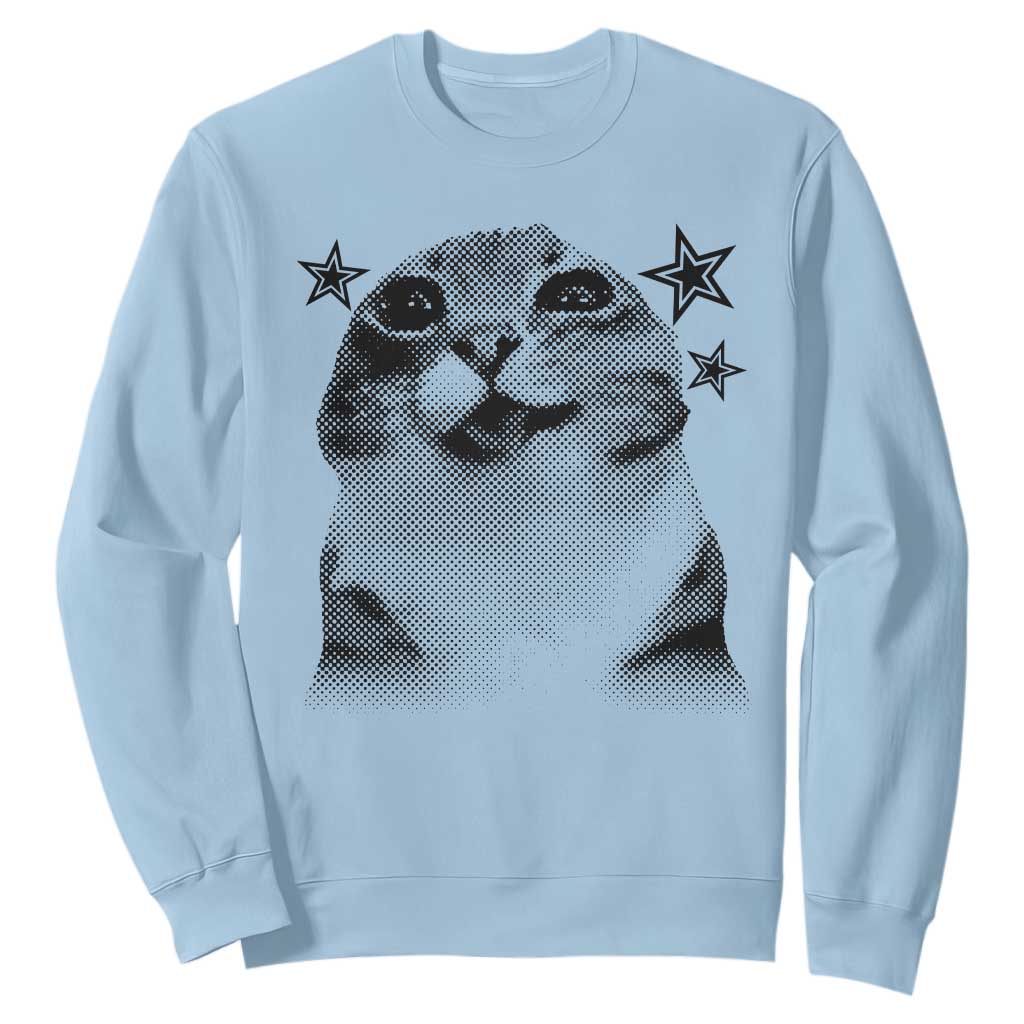 Funny Y2k Cat Meme Sweatshirt Vintage Retro Silly Cats Cats lover Gift TS10 Light Blue Print Your Wear