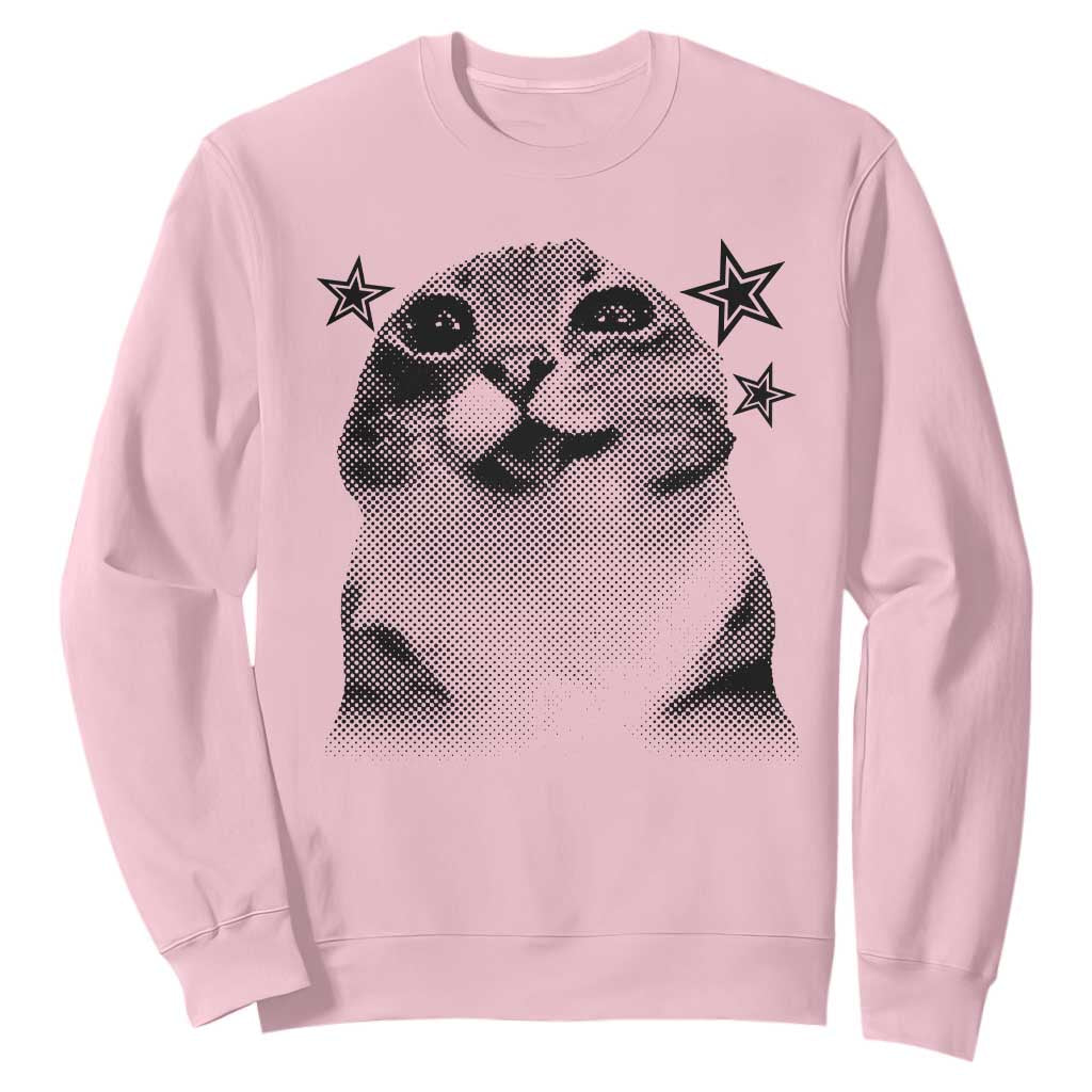 Funny Y2k Cat Meme Sweatshirt Vintage Retro Silly Cats Cats lover Gift TS10 Light Pink Print Your Wear