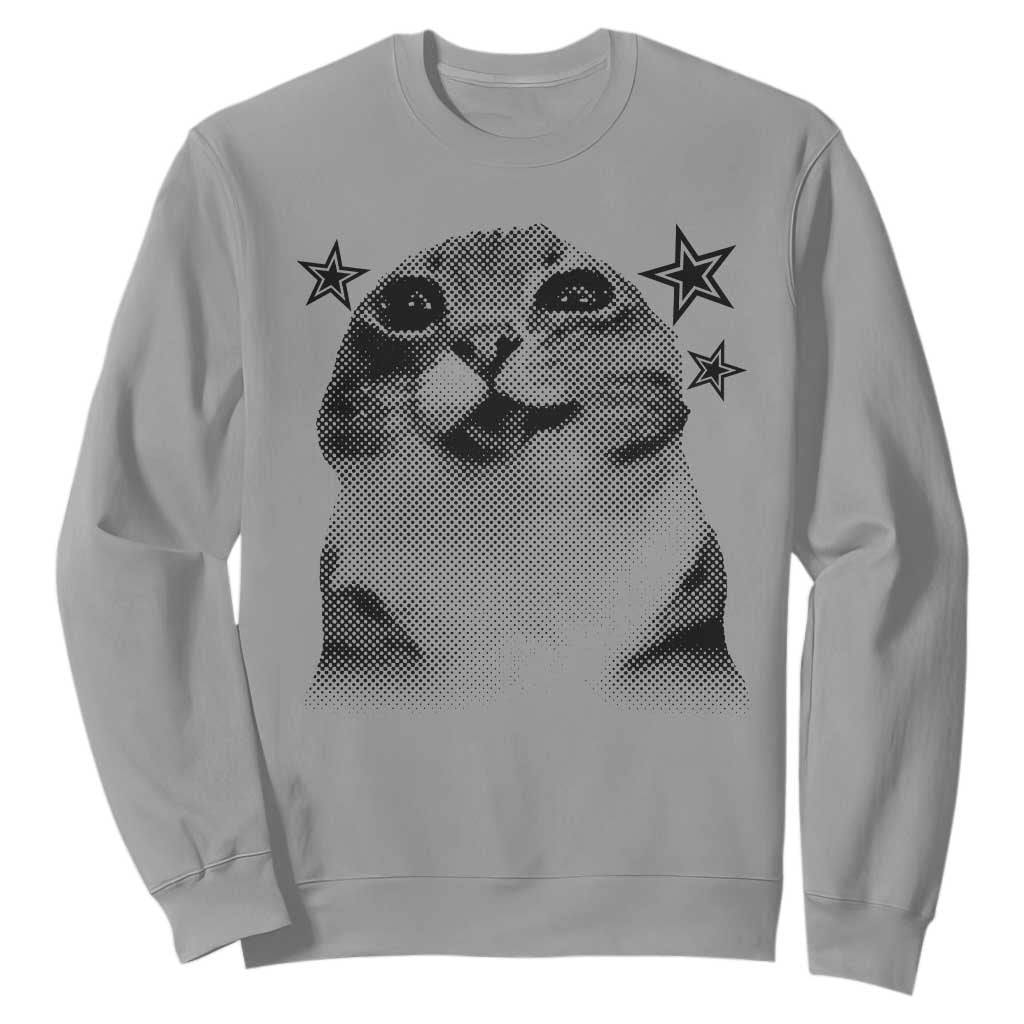 Funny Y2k Cat Meme Sweatshirt Vintage Retro Silly Cats Cats lover Gift TS10 Sport Gray Print Your Wear