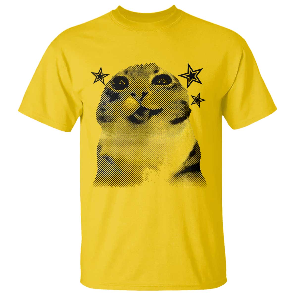 Funny Y2k Cat Meme T Shirt Vintage Retro Silly Cats Cats lover Gift TS10 Daisy Print Your Wear