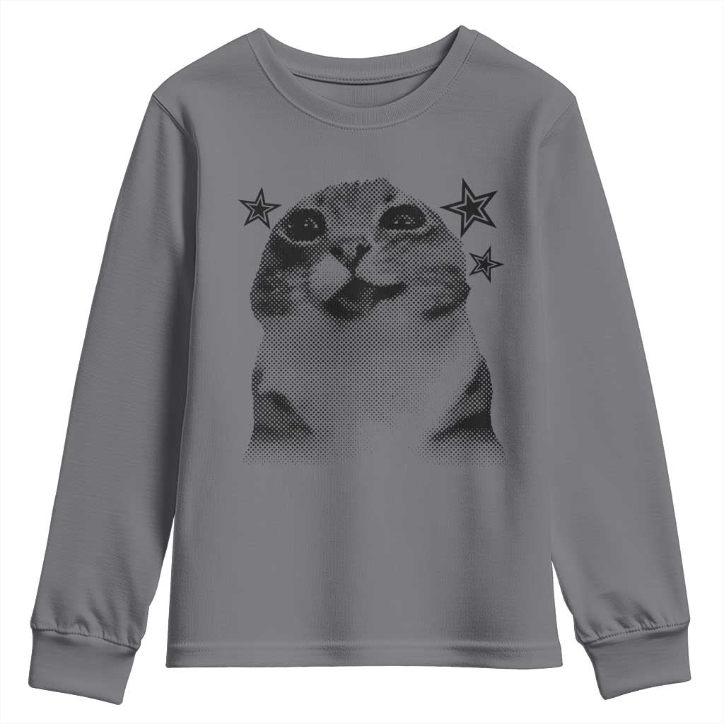 Funny Y2k Cat Meme Youth Sweatshirt Vintage Retro Silly Cats Cats lover Gift TS10 Charcoal Print Your Wear