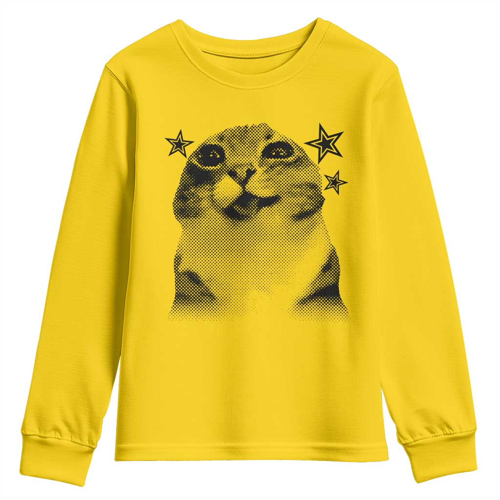 Funny Y2k Cat Meme Youth Sweatshirt Vintage Retro Silly Cats Cats lover Gift TS10 Daisy Print Your Wear
