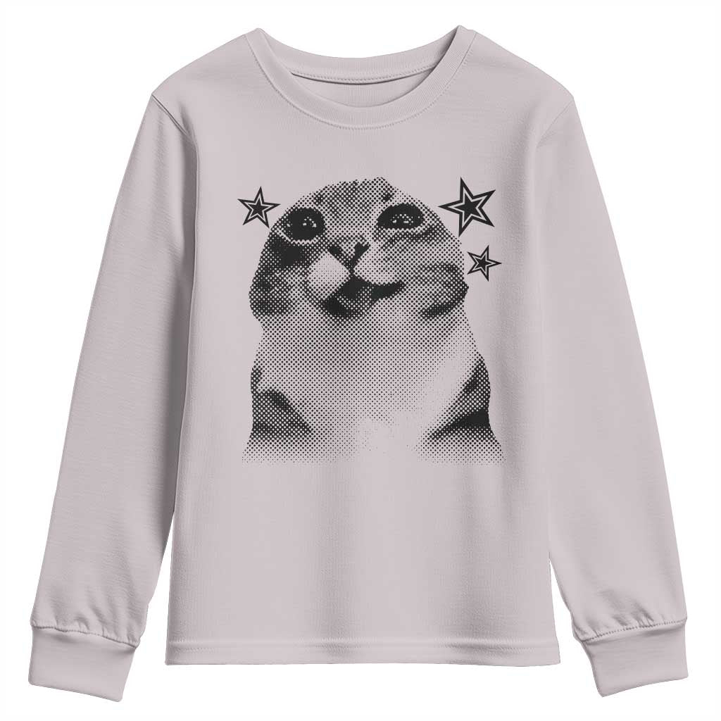 Funny Y2k Cat Meme Youth Sweatshirt Vintage Retro Silly Cats Cats lover Gift TS10 Ice Gray Print Your Wear