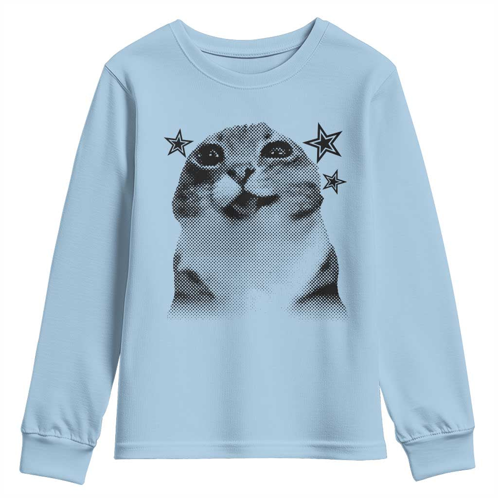 Funny Y2k Cat Meme Youth Sweatshirt Vintage Retro Silly Cats Cats lover Gift TS10 Light Blue Print Your Wear