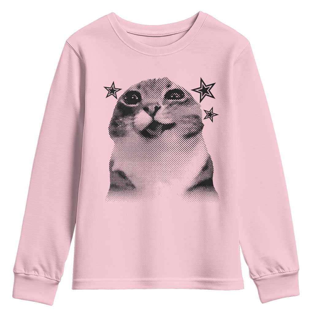 Funny Y2k Cat Meme Youth Sweatshirt Vintage Retro Silly Cats Cats lover Gift TS10 Light Pink Print Your Wear