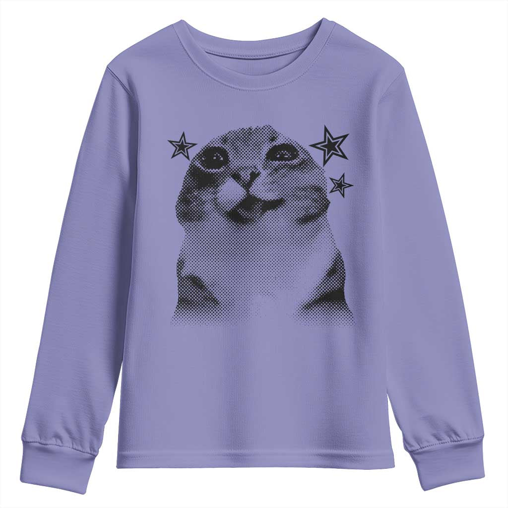 Funny Y2k Cat Meme Youth Sweatshirt Vintage Retro Silly Cats Cats lover Gift TS10 Violet Print Your Wear