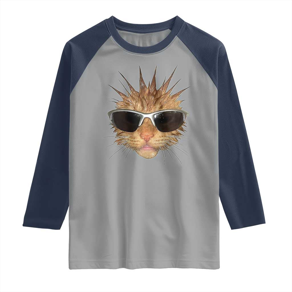 Funny Y2k Retro Cat Meme Raglan Shirt Vintage Cat Edgy Retro 90s Streetwear TS10 Sport Gray Navy Print Your Wear