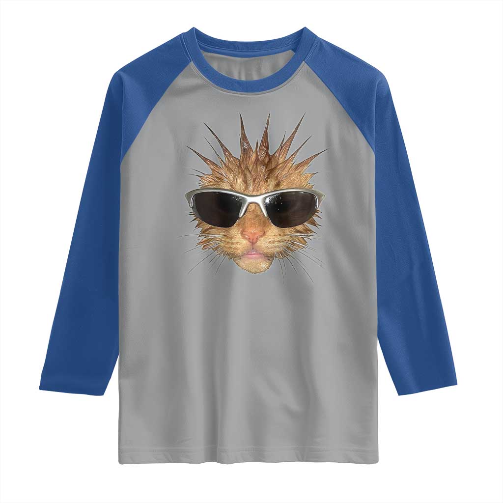 Funny Y2k Retro Cat Meme Raglan Shirt Vintage Cat Edgy Retro 90s Streetwear TS10 Sport Gray Royal Print Your Wear