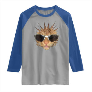 Funny Y2k Retro Cat Meme Raglan Shirt Vintage Cat Edgy Retro 90s Streetwear TS10 Sport Gray Royal Print Your Wear