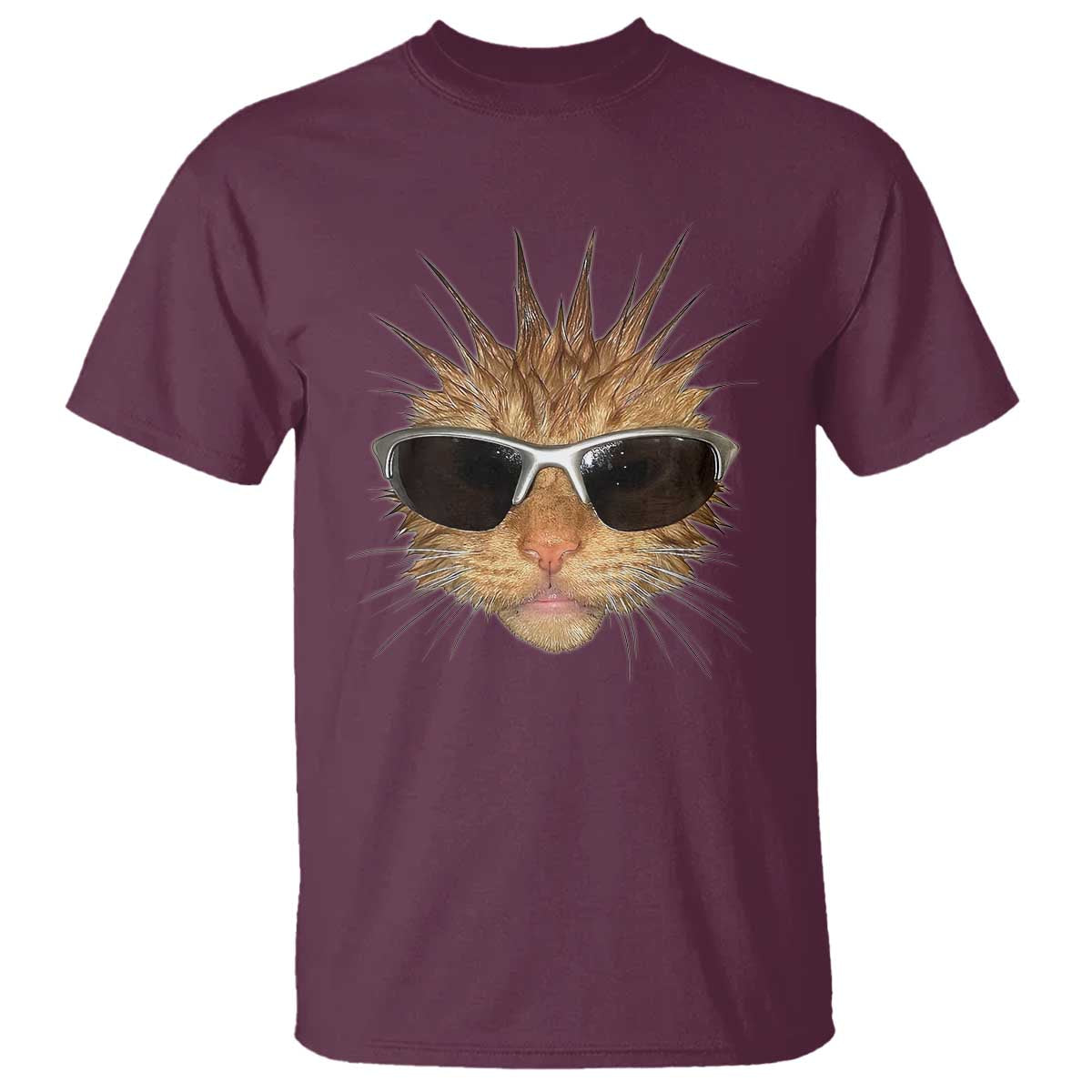 Funny Y2k Retro Cat Meme T Shirt Vintage Cat Edgy Retro 90s Streetwear TS10 Maroon Print Your Wear