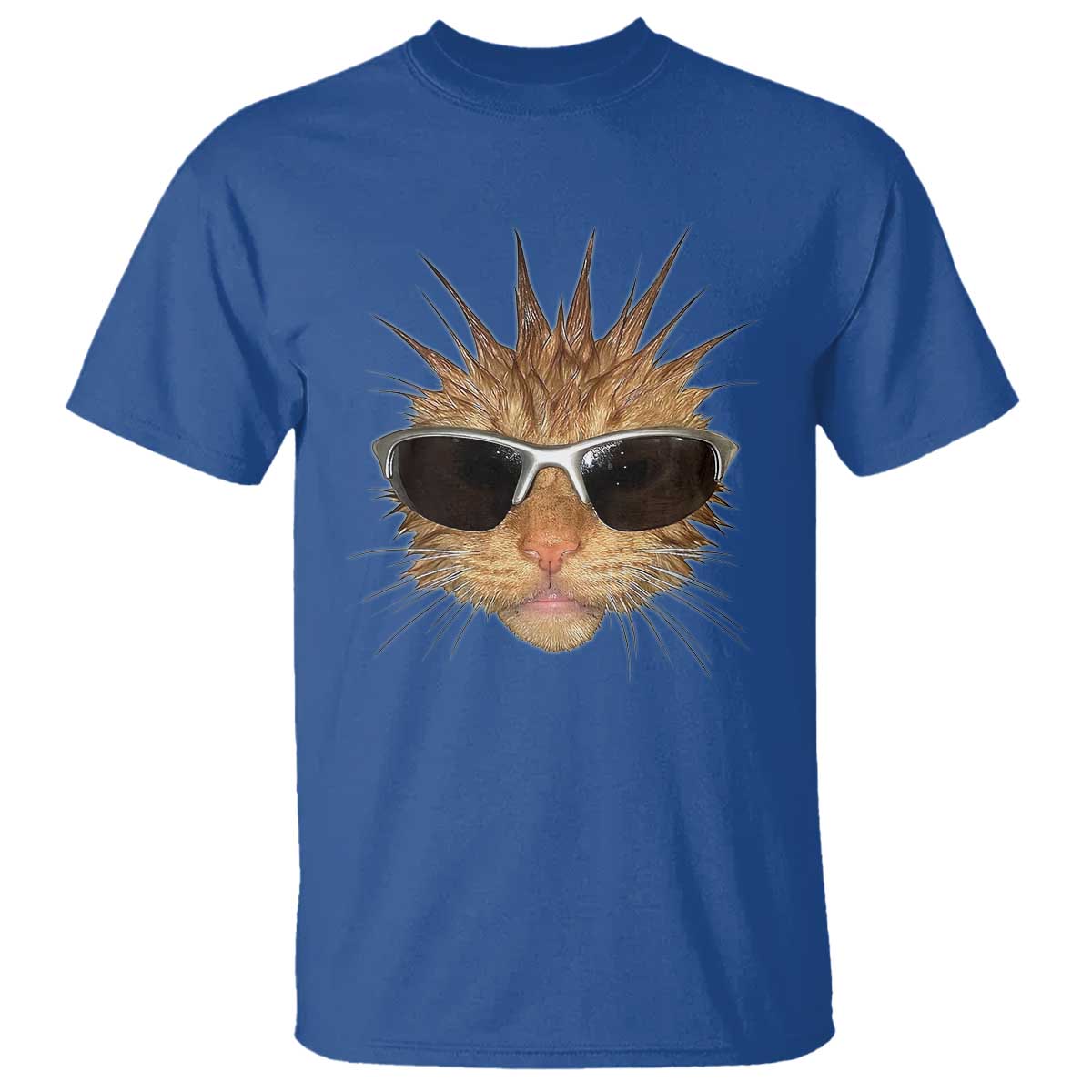 Funny Y2k Retro Cat Meme T Shirt Vintage Cat Edgy Retro 90s Streetwear TS10 Royal Blue Print Your Wear
