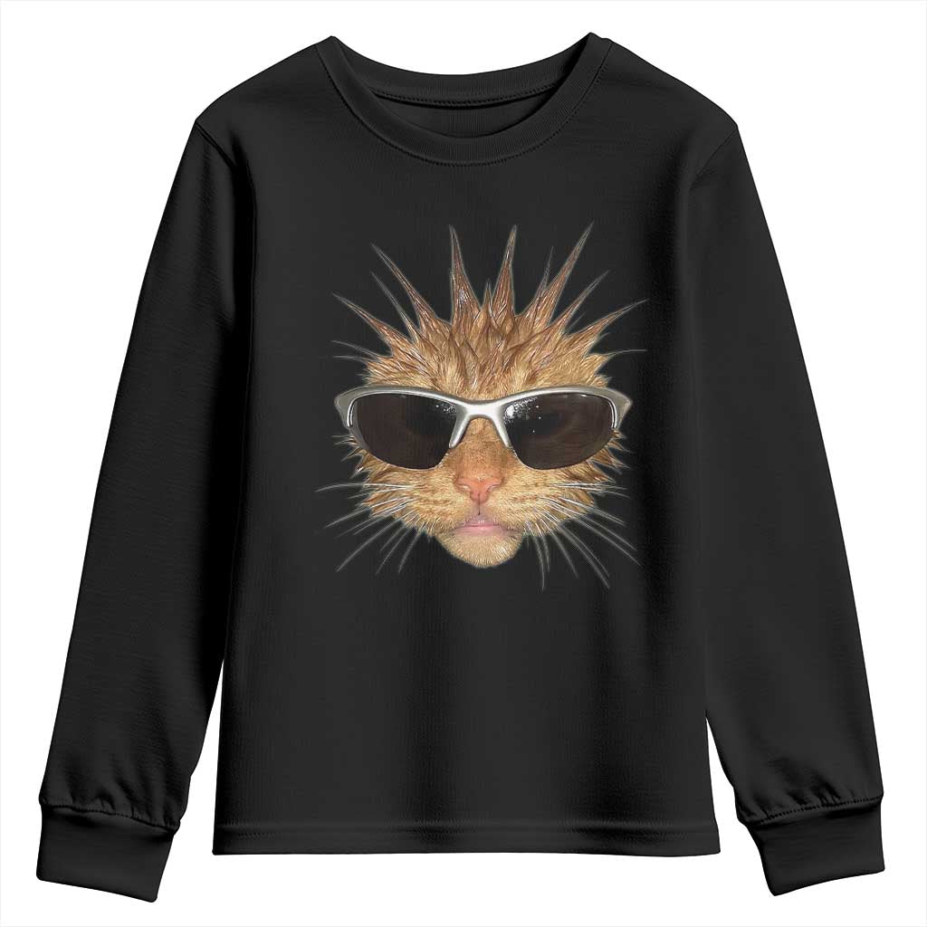 Funny Y2k Retro Cat Meme Youth Sweatshirt Vintage Cat Edgy Retro 90s Streetwear TS10 Black Print Your Wear