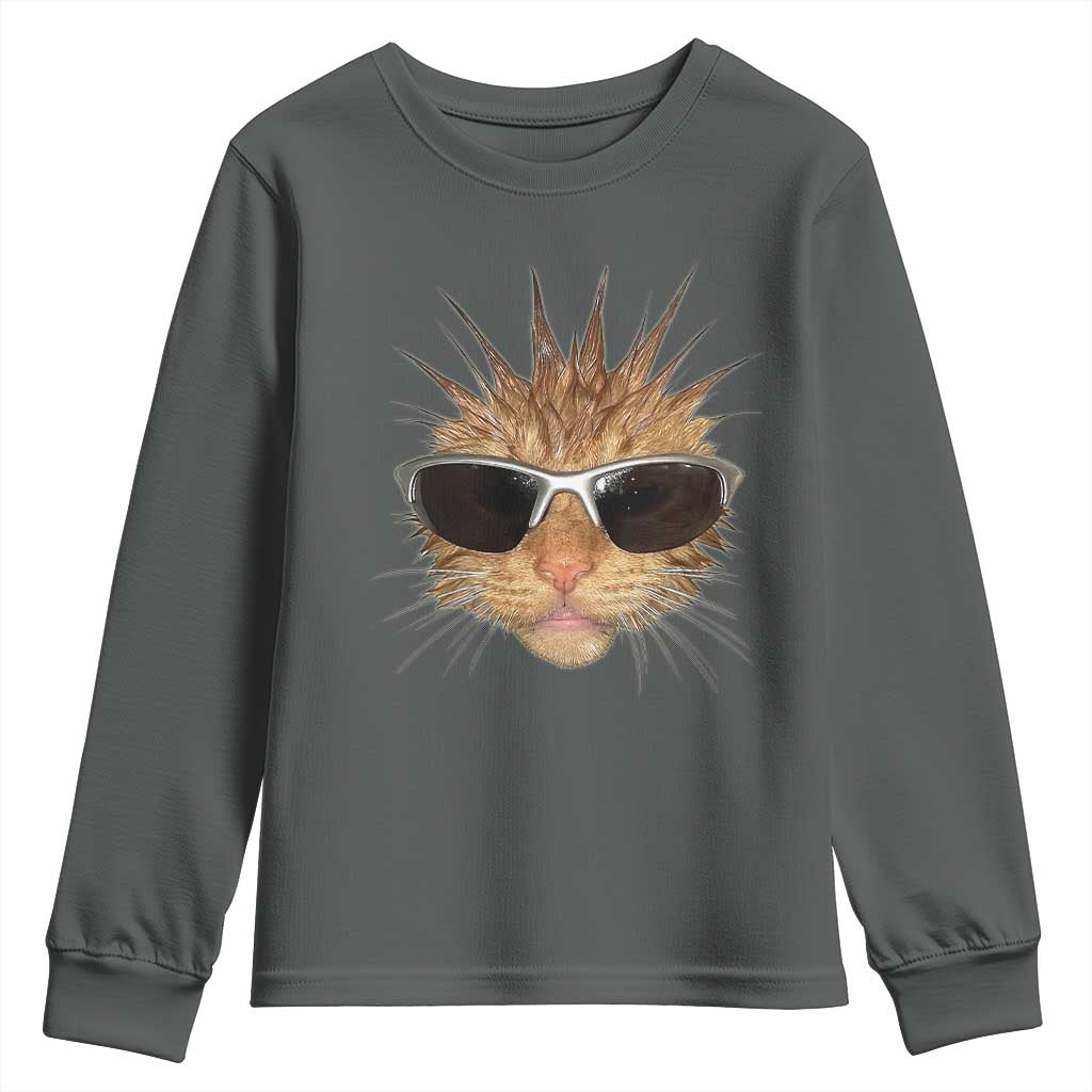 Funny Y2k Retro Cat Meme Youth Sweatshirt Vintage Cat Edgy Retro 90s Streetwear TS10 Dark Heather Print Your Wear