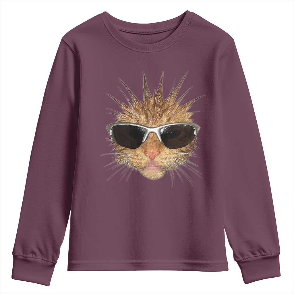 Funny Y2k Retro Cat Meme Youth Sweatshirt Vintage Cat Edgy Retro 90s Streetwear TS10 Maroon Print Your Wear