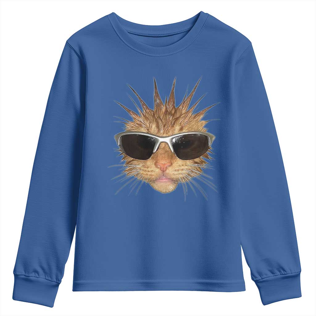 Funny Y2k Retro Cat Meme Youth Sweatshirt Vintage Cat Edgy Retro 90s Streetwear TS10 Royal Blue Print Your Wear