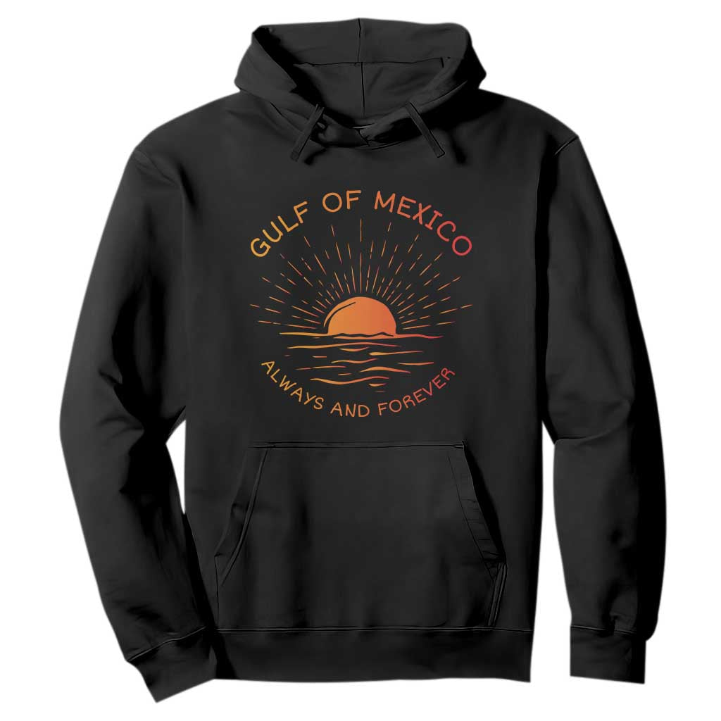 Gulf of Mexico Hoodie Always and Forever Sunny Vibes TS10 Black Print Your Wear