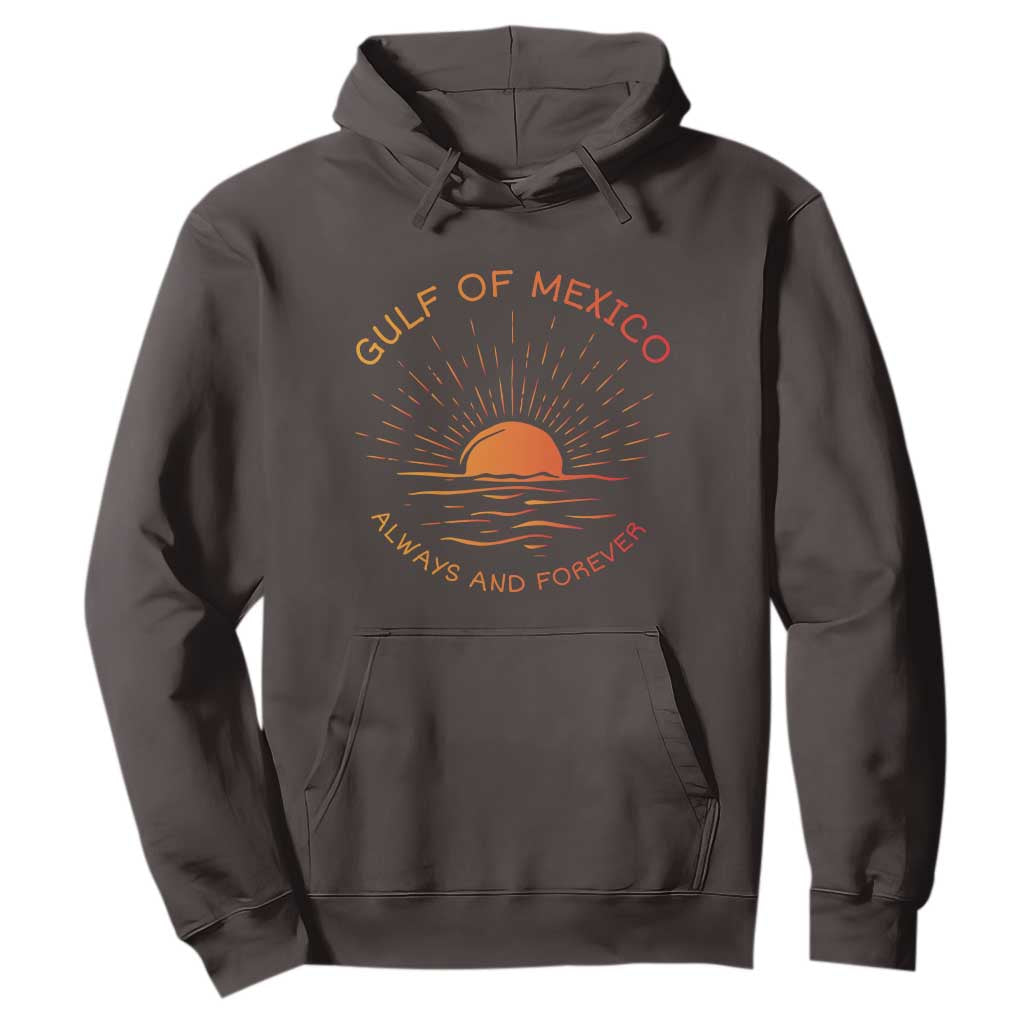 Gulf of Mexico Hoodie Always and Forever Sunny Vibes TS10 Dark Chocolate Print Your Wear