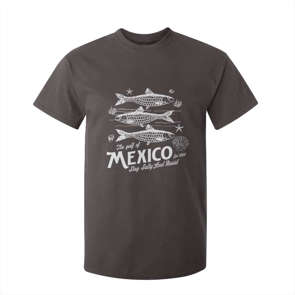 Gulf of Mexico T Shirt For Kid Golfo de México 1550 Texas Alabama Florida Beach TS10 Dark Chocolate Print Your Wear