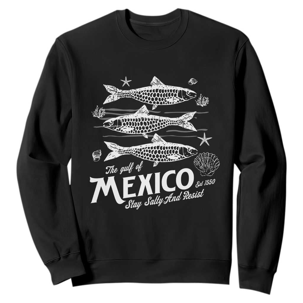 Gulf of Mexico Sweatshirt Golfo de México 1550 Texas Alabama Florida Beach TS10 Black Print Your Wear
