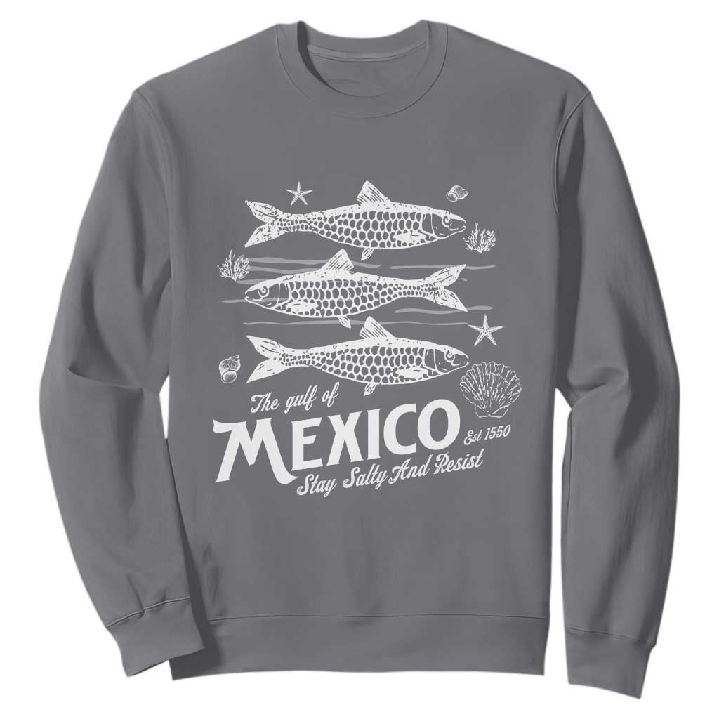 Gulf of Mexico Sweatshirt Golfo de México 1550 Texas Alabama Florida Beach TS10 Charcoal Print Your Wear