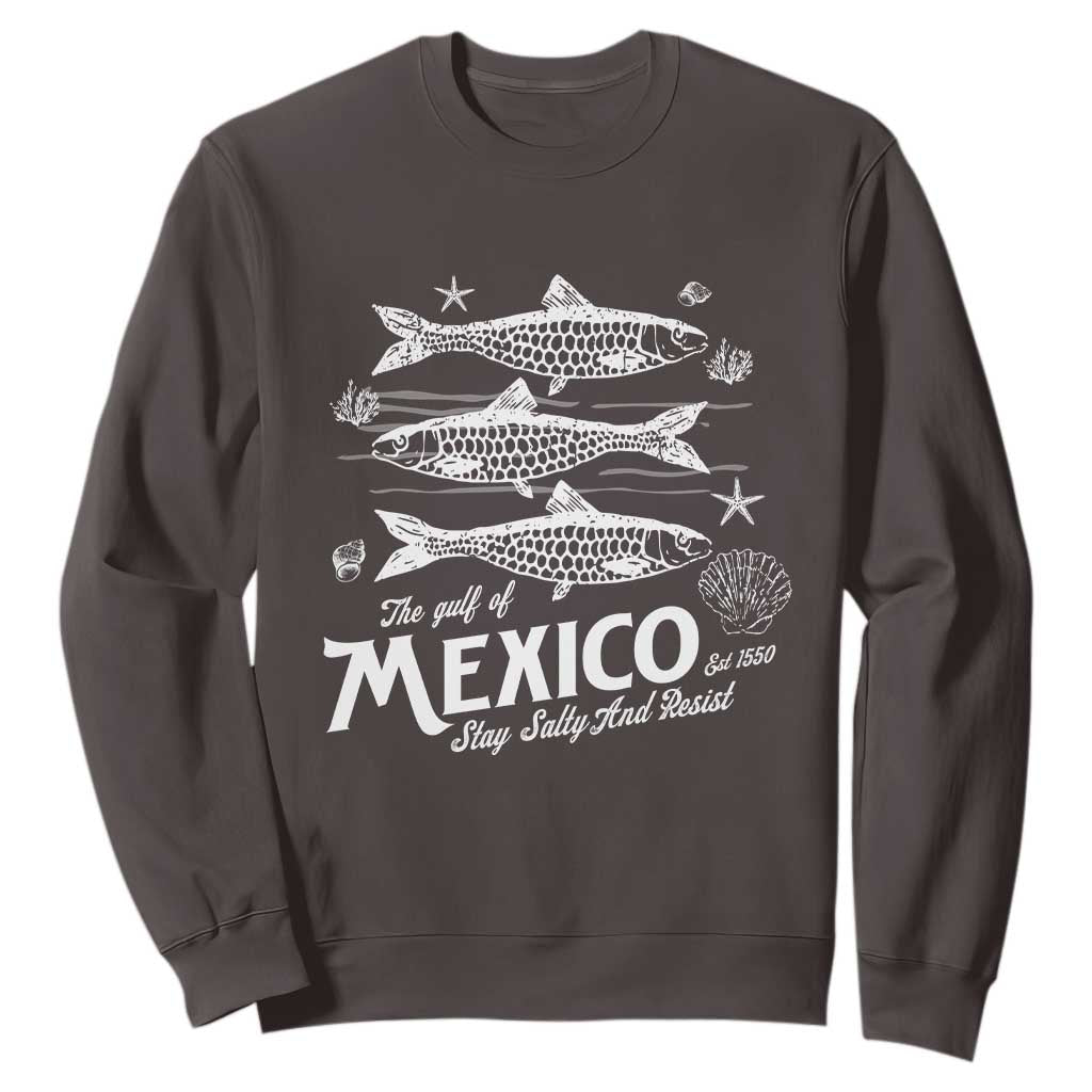 Gulf of Mexico Sweatshirt Golfo de México 1550 Texas Alabama Florida Beach TS10 Dark Chocolate Print Your Wear