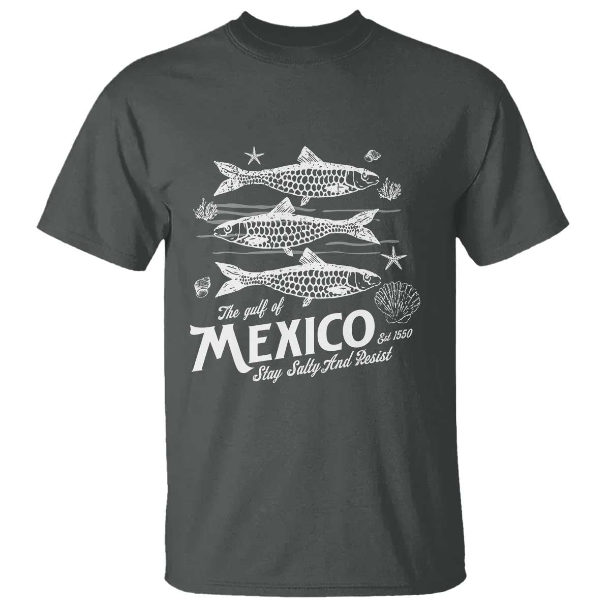 Gulf of Mexico T Shirt Golfo de México 1550 Texas Alabama Florida Beach TS10 Dark Heather Print Your Wear
