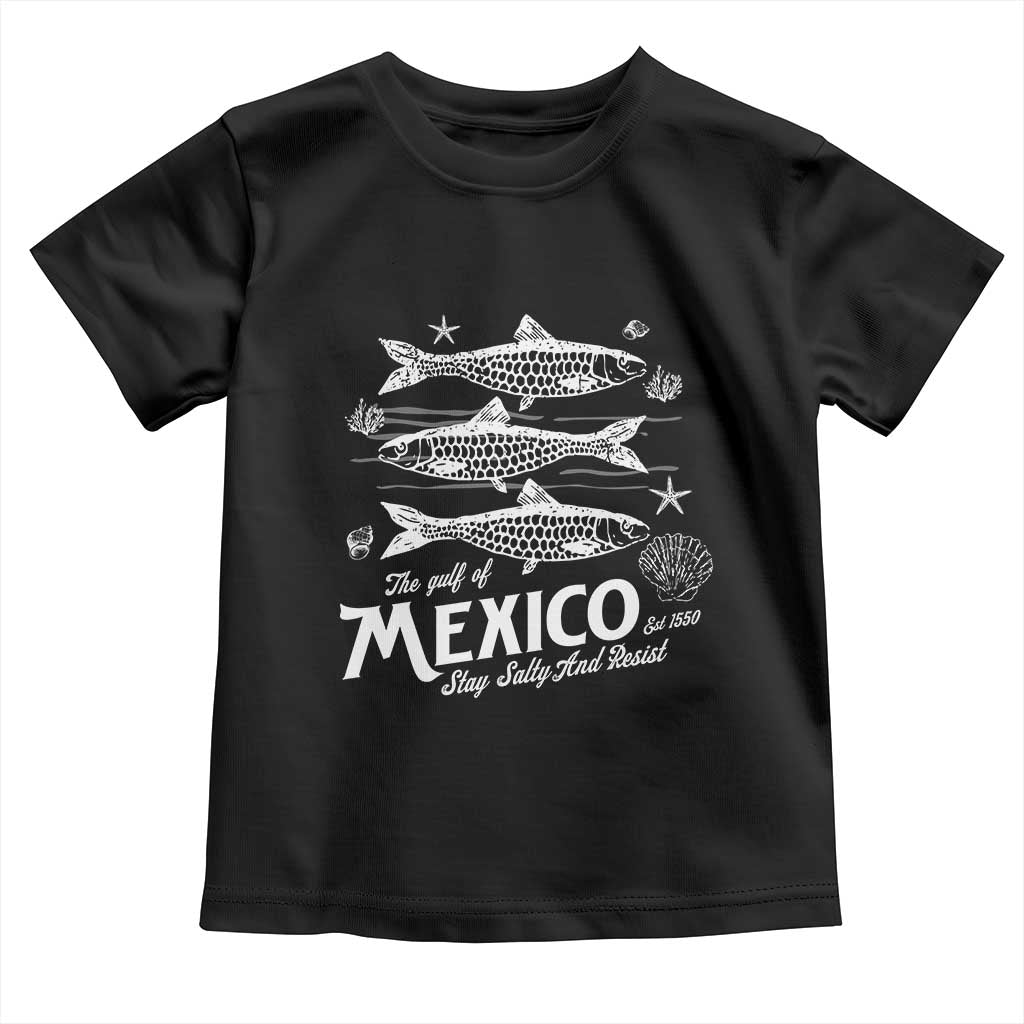 Gulf of Mexico Toddler T Shirt Golfo de México 1550 Texas Alabama Florida Beach TS10 Black Print Your Wear