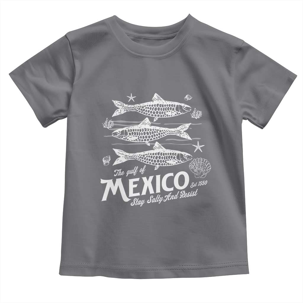 Gulf of Mexico Toddler T Shirt Golfo de México 1550 Texas Alabama Florida Beach TS10 Charcoal Print Your Wear