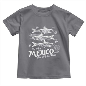 Gulf of Mexico Toddler T Shirt Golfo de México 1550 Texas Alabama Florida Beach TS10 Charcoal Print Your Wear